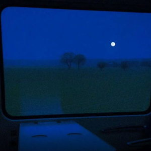 超级女教官布兰迪电影
