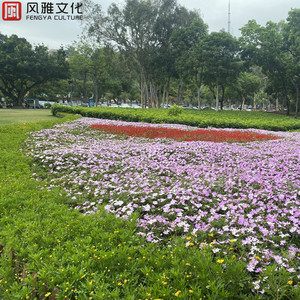 超级女教官布兰迪电影
